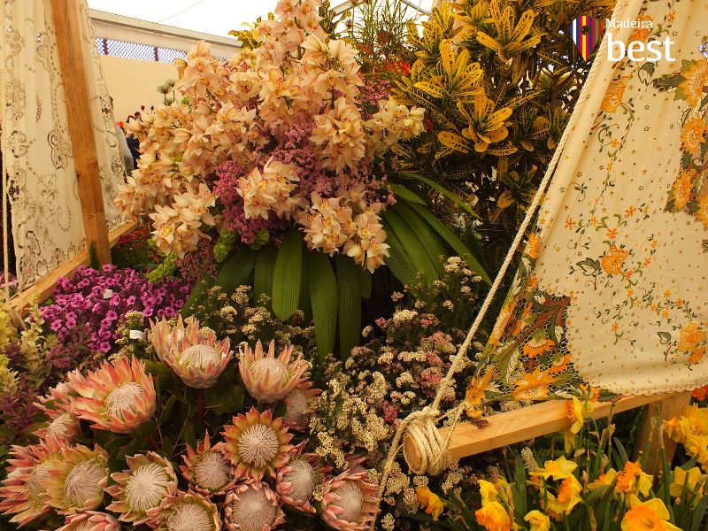 Madeira Flower Festival 2019 - Flower Exhibition